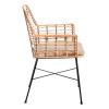 Silla de hierro Edmonton