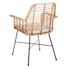 Silla de hierro Edmonton
