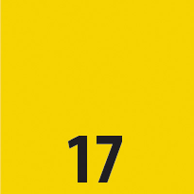 17