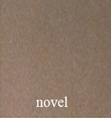 novel