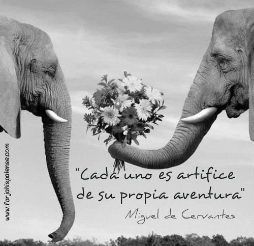 portada frases