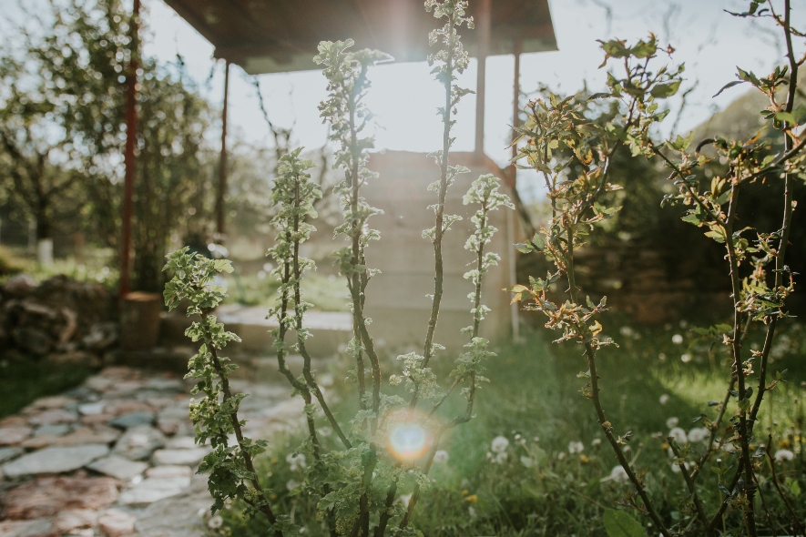 ¿Cómo preparar mi patio para la primavera?